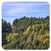 Der erste Blick auf das Cruz de Ferro