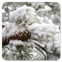 Winterliche Stimmung am Camino