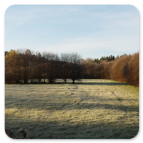 frostiger Mogen am Camino Ingles