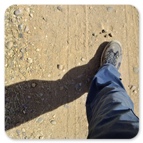 Auf der Via de la Plata